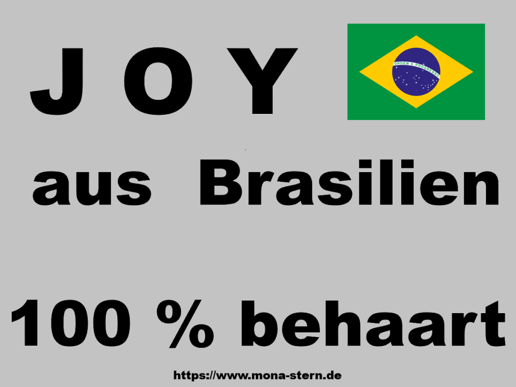 joy_brasilien9b-1